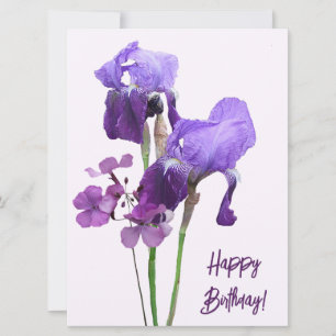 Happy birthday elegant purple irises fine art  holiday card