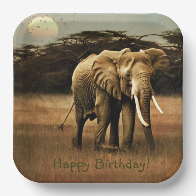 Happy Birthday Elephant Paper Plate (Front)