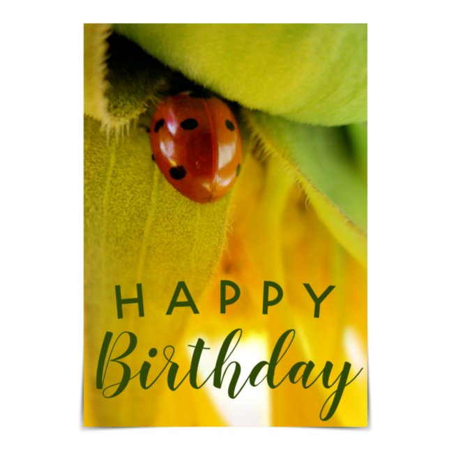 "Happy Birthday" Enthusiastic Ladybug Card (Creator Uploaded)
