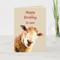 Happy Birthday Ewe Funny Sheep Animal Humour