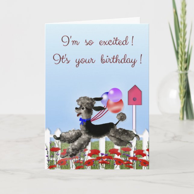 Happy Birthday, Excited Black Poodle in a Garden Card (Front)