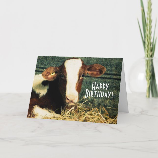 Happy Birthday Farmer - Brown and White Calf Card (Front)