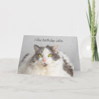 Happy Birthday Fat Cat Likes Birthday Cake