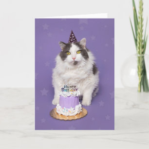 Happy Birthday Fat Cat With Cake Humour Holiday Card