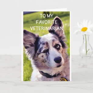 HAPPY BIRTHDAY **FAVORITE VETERINARIAN** CARD