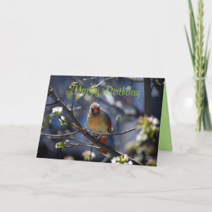 Happy Birthday Female Cardinal in Flowering Tree Card