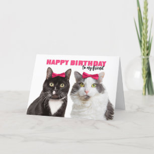 Happy Birthday Female Friend Cute Cats in Pink Bow Holiday Card