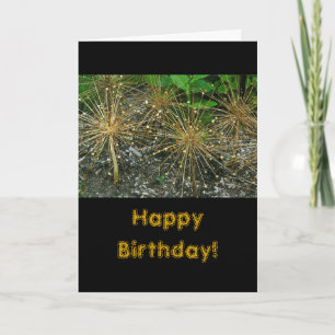 "HAPPY BIRTHDAY/FLORAL/PHOTOG CARD