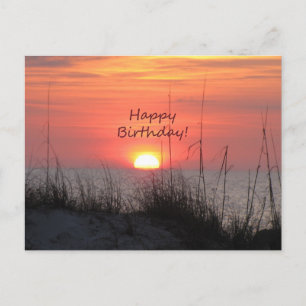 Happy Birthday Florida Orange Sunset Postcard