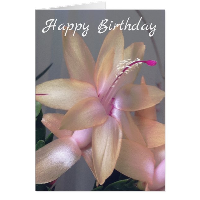 *~* Happy Birthday Flower Photography  Customise (Front)