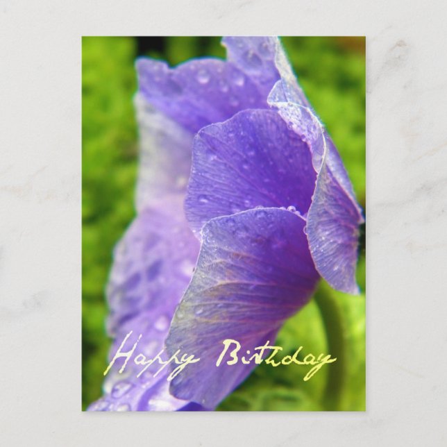 Happy Birthday Flower Postcard (Front)