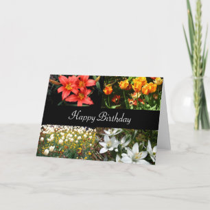 Happy Birthday Flowers   Card