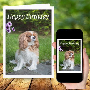 Happy Birthday Flowers Cavalier King Spaniel Card