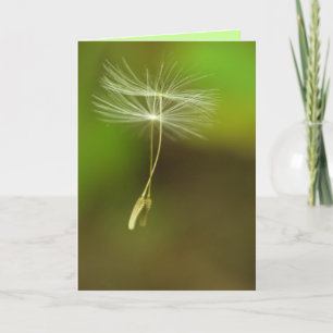 Happy Birthday - Flying Dandelion seeds Card