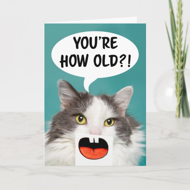 Happy Birthday For Anyone Funny Cat  Holiday Card (Front)