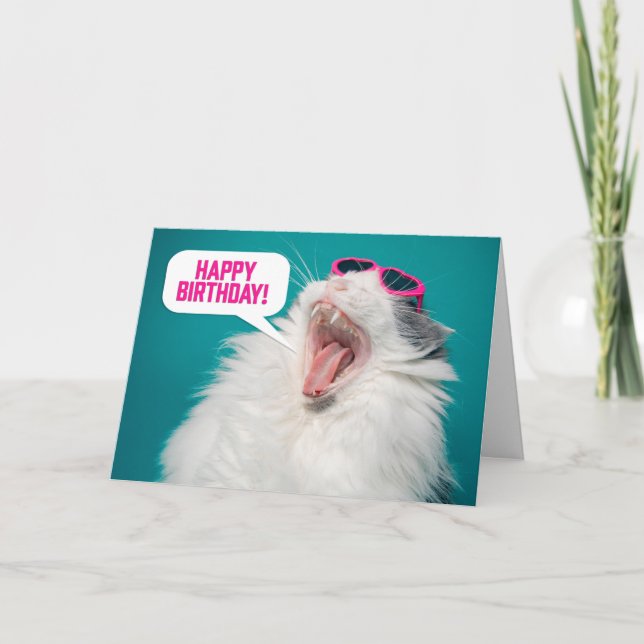 Happy Birthday For Anyone Funny Cat in Sunglasses  Holiday Card (Front)