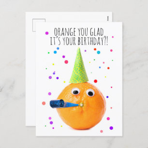 Happy Birthday For Anyone Funny Orange   Holiday Postcard