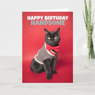 Happy Birthday For Him Cute Handsome Cat Humour Holiday Card