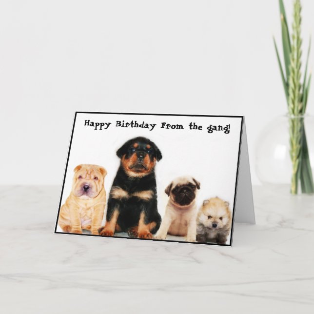 Happy birthday form the gang Puppies greeting card (Front)