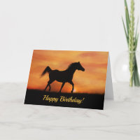 Happy Birthday Free Spirited Arabian Horse