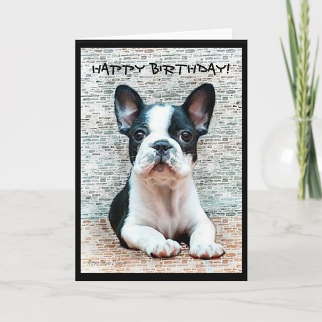 Happy Birthday French Bulldog greeting card (Front)