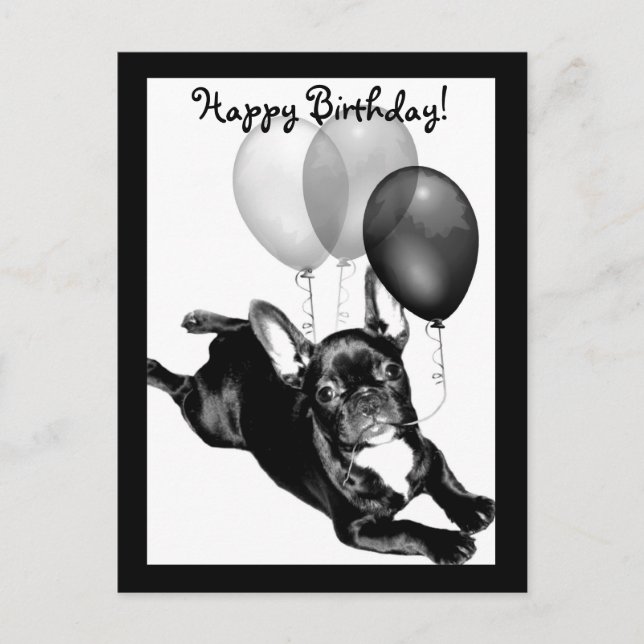 Happy Birthday French Bulldog postcard (Front)