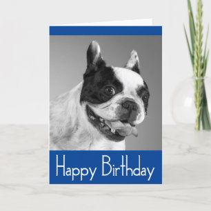 Happy Birthday French Bulldog Puppy Card - Verse