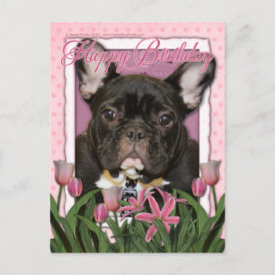 Happy Birthday - French Bulldog - Teal Postcard