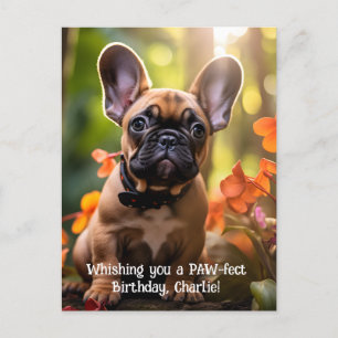 Happy Birthday Frenchie puppy in a jungle Postcard