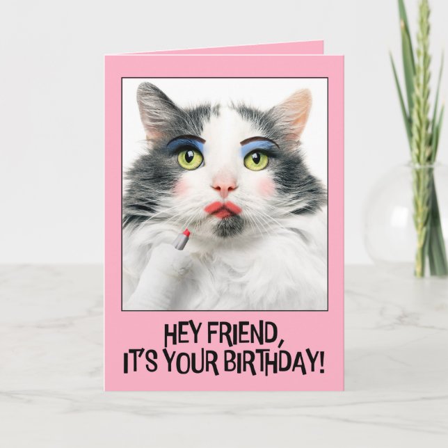 Happy Birthday Friend Funny Cat in Make Up Holiday Card (Front)