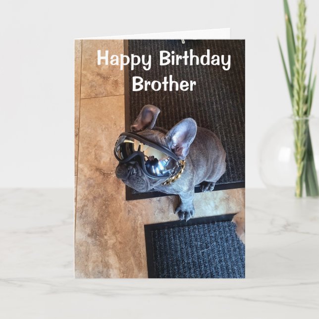 HAPPY BIRTHDAY FROM A COOL DOG "BROTHER"  CARD (Front)