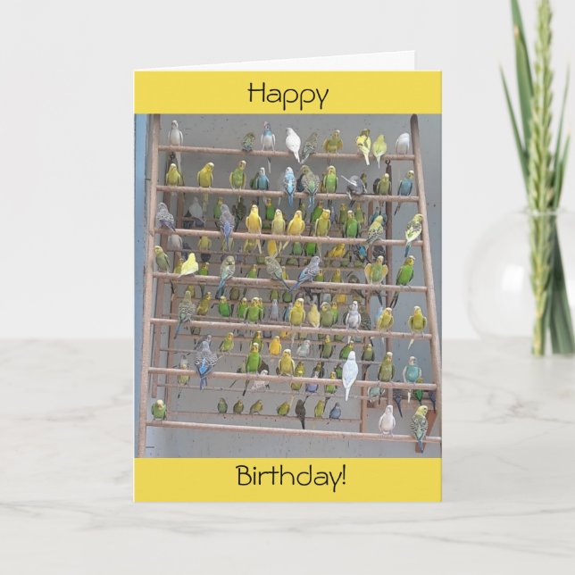Happy Birthday from All of Us Parakeets Card (Front)