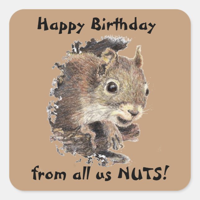 Happy Birthday from all us NUTS Cute Squirrel Fun Square Sticker (Front)
