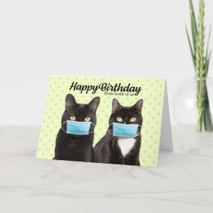 Happy Birthday From Both Cute Cat Couple in Masks Card