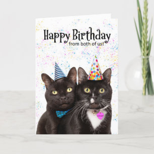 Happy Birthday From Both Cute Cats Humour Holiday Card