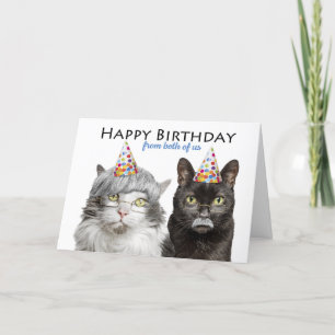 Happy Birthday From Both of Us Old Cats Humour Holiday Card