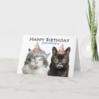 Happy Birthday From Both of Us Old Cats Humour