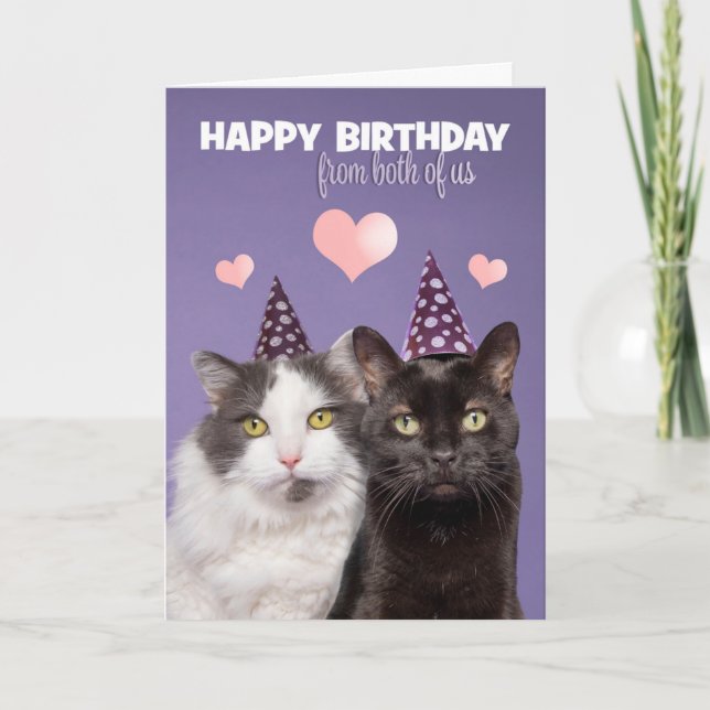 Happy Birthday From Both of Us Two Cute Cats  Holiday Card (Front)
