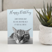 Happy Birthday From Cat Funny Humour