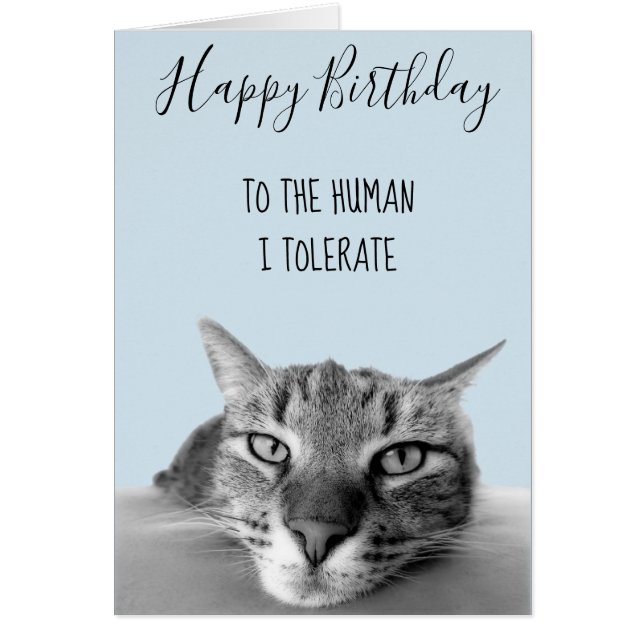 Happy Birthday From Cat To Human I Tolerate Funny (Front)