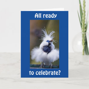 HAPPY BIRTHDAY FROM "COMEDIC BIRD" CARD