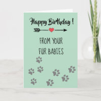 Happy Birthday from Dogs Cats Pets Multiple