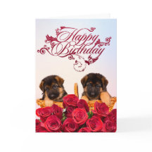 Happy Birthday from German Shepherd Dog