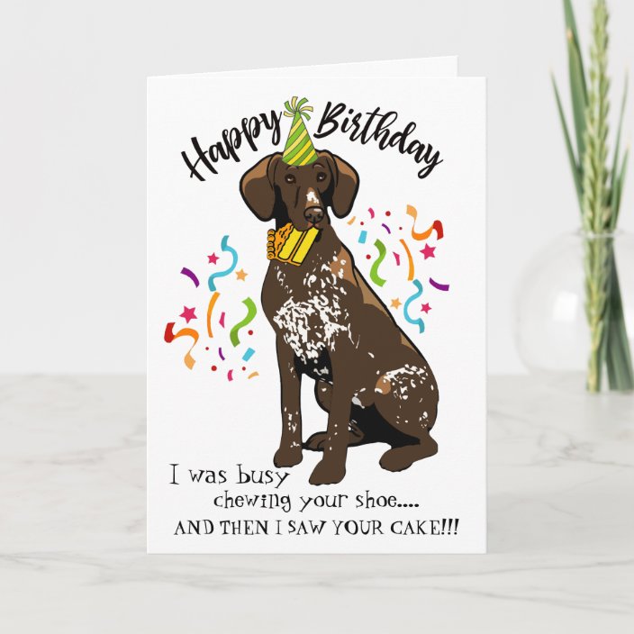 Happy Birthday from German Short Haired Pointer Card | Zazzle.com.au