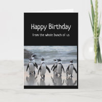 Happy Birthday From Group Whole Bunch Penguins