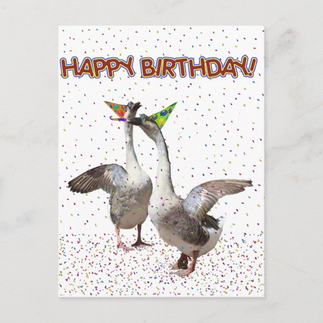Happy Birthday From Party Animals Postcard (Front)