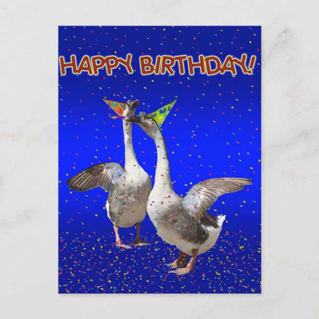 Happy Birthday from the Birthday Geese! Postcard (Front)