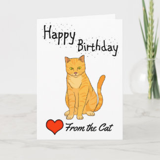 Happy Birthday from the Cat Card