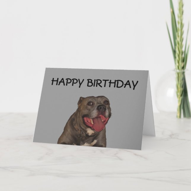 Happy Birthday From The Dog Card (Front)