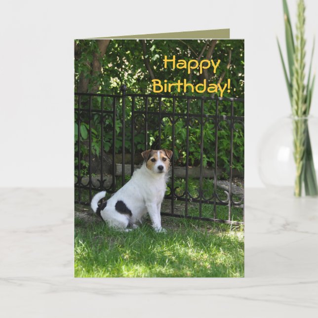 Happy Birthday from the Dog Card (Front)